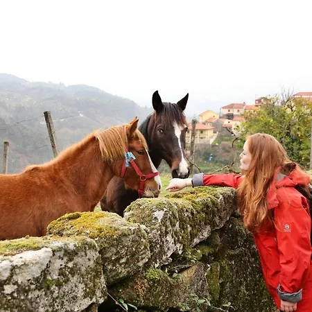 Casa Da Lagoa 아파트