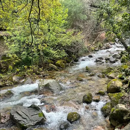 Apartamento Casa Da Lagoa
