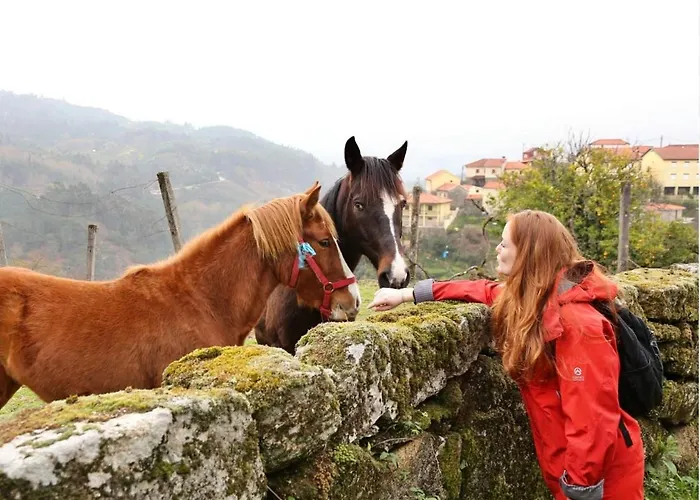 Casa Da Lagoa 아파트
