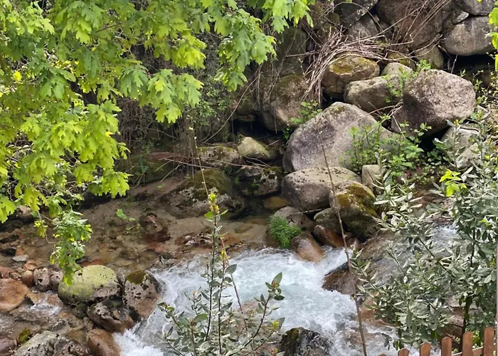 Casa Da Lagoa Apartment *